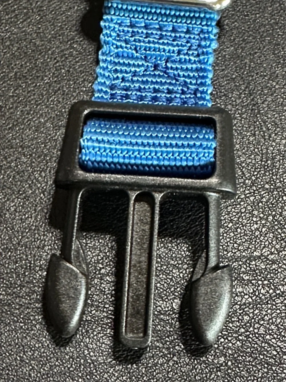 Petsafe Large Blue Nylon New Dog Collar